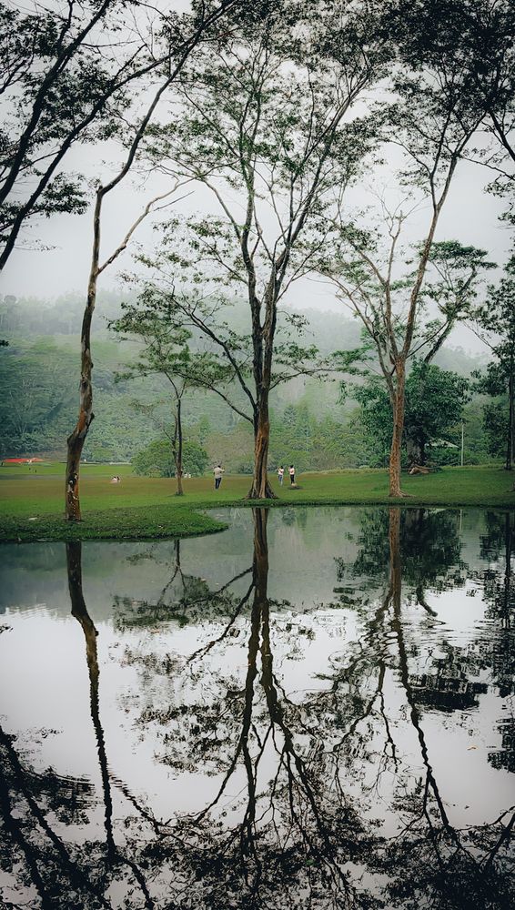 Фотография автора Kaveesha Rashmina