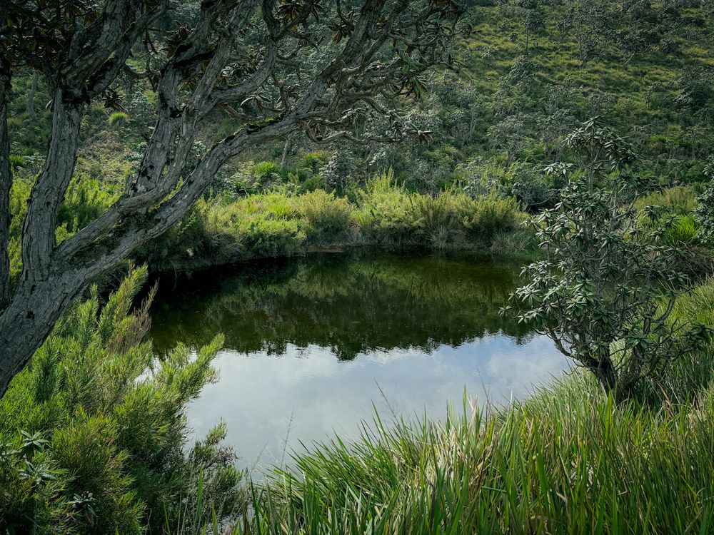 Фотография автора Kaveesha Rashmina