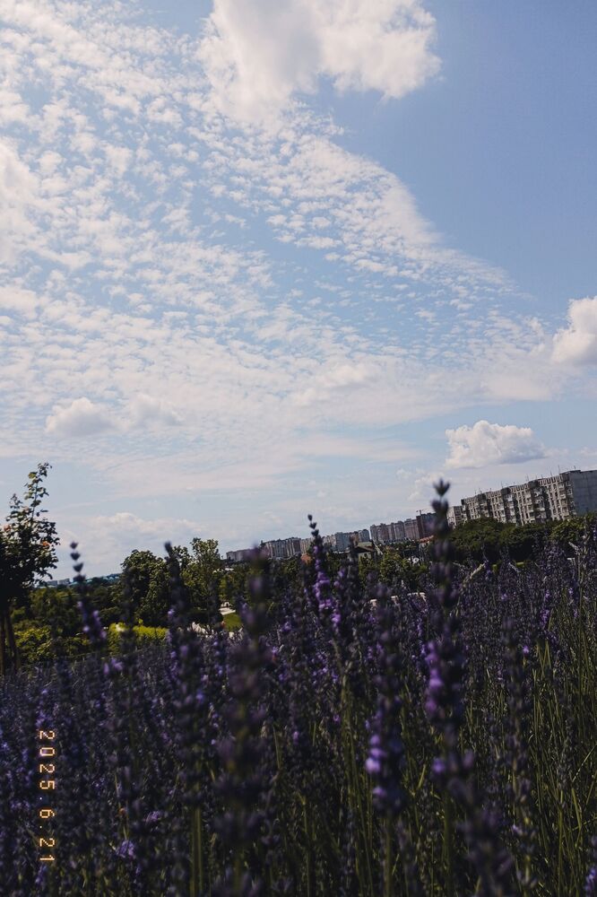 Photograph by Савина Анастасия Николаевна