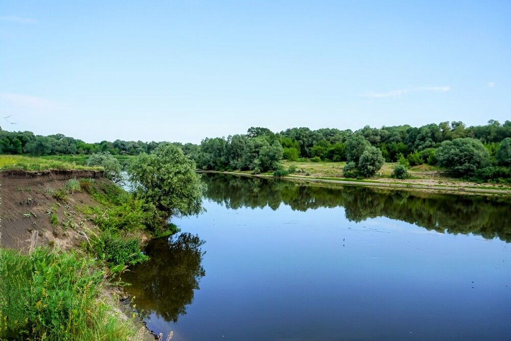 Photograph by Людмила Локтионова