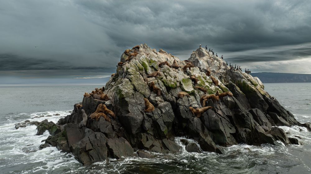 Photograph by Евгений Логинов