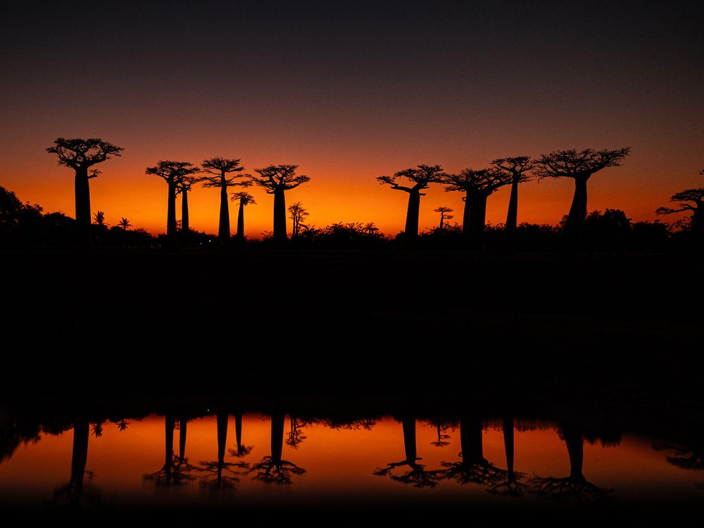 Photograph by Popiyakova Natalia