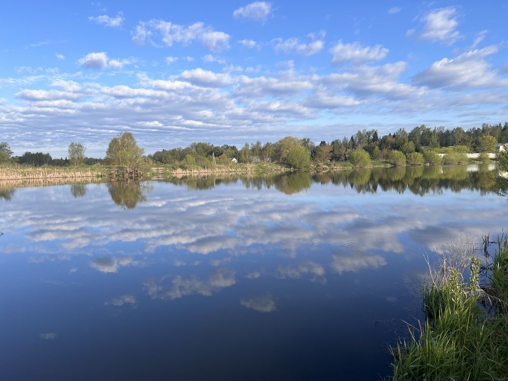 Photograph by Kira Ko