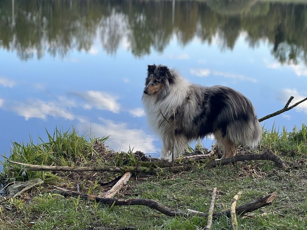 Photograph by Kira Ko