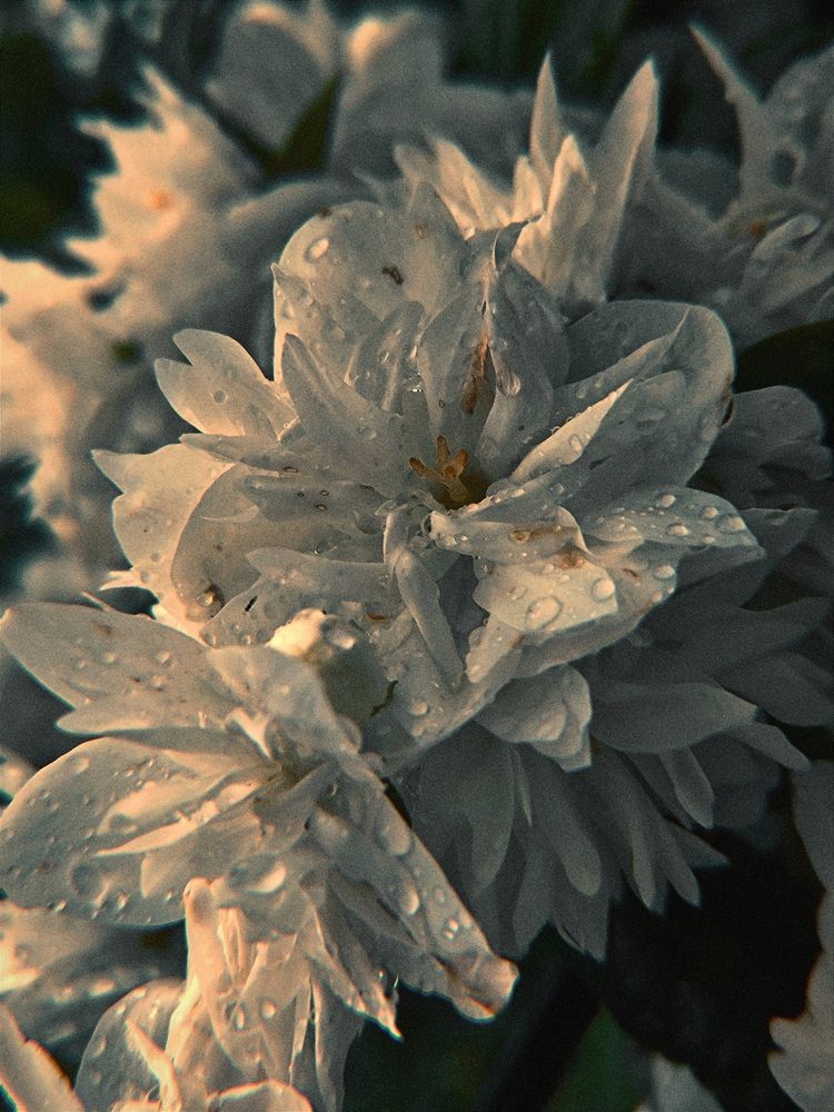 Photograph by Илья Андреев