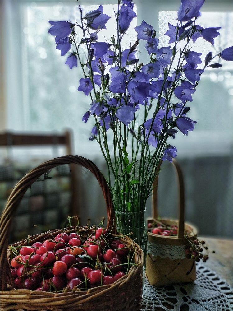 Photograph by Ольга Мартьянова