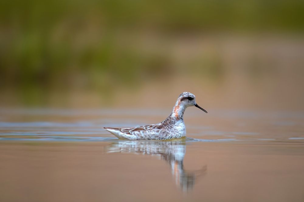 Photograph by Mahdi Reihani Bozorg