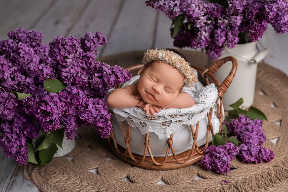 Photograph by Валентина Легкова