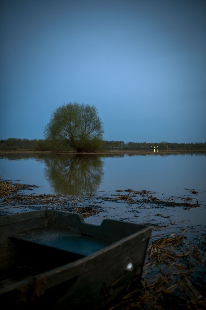 Photograph by Светлана Ермакова