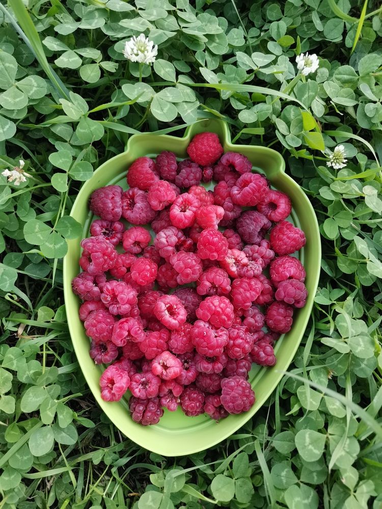 Photograph by Любовь Лунина