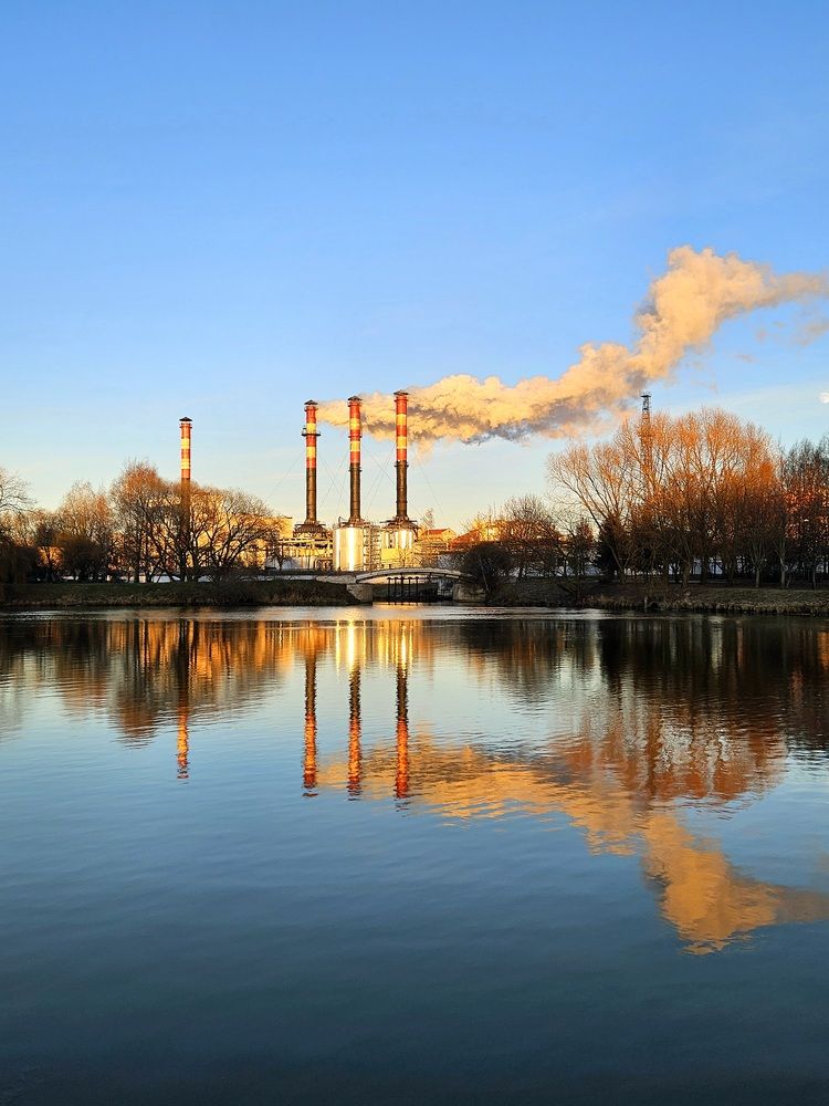 Фотография автора Elena Polonetskaya