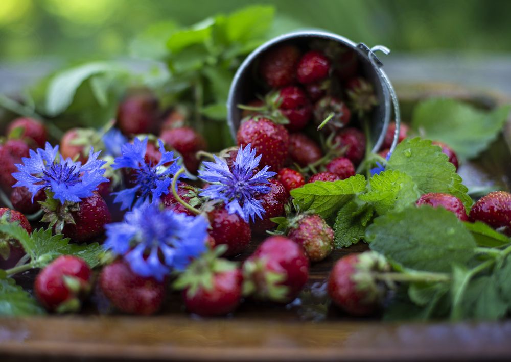 Photograph by Татьяна Шахматова