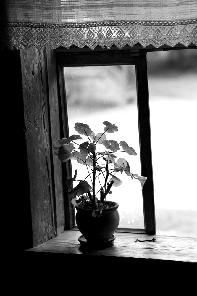 Photograph by Оксана Серёгина
