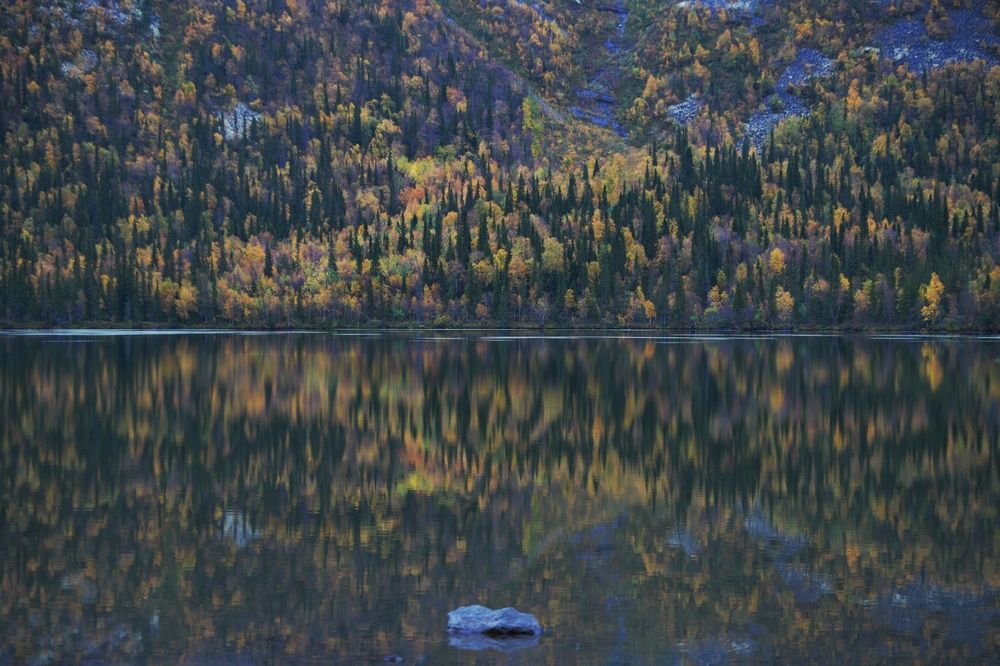 Photograph by Margareth Tikhonova