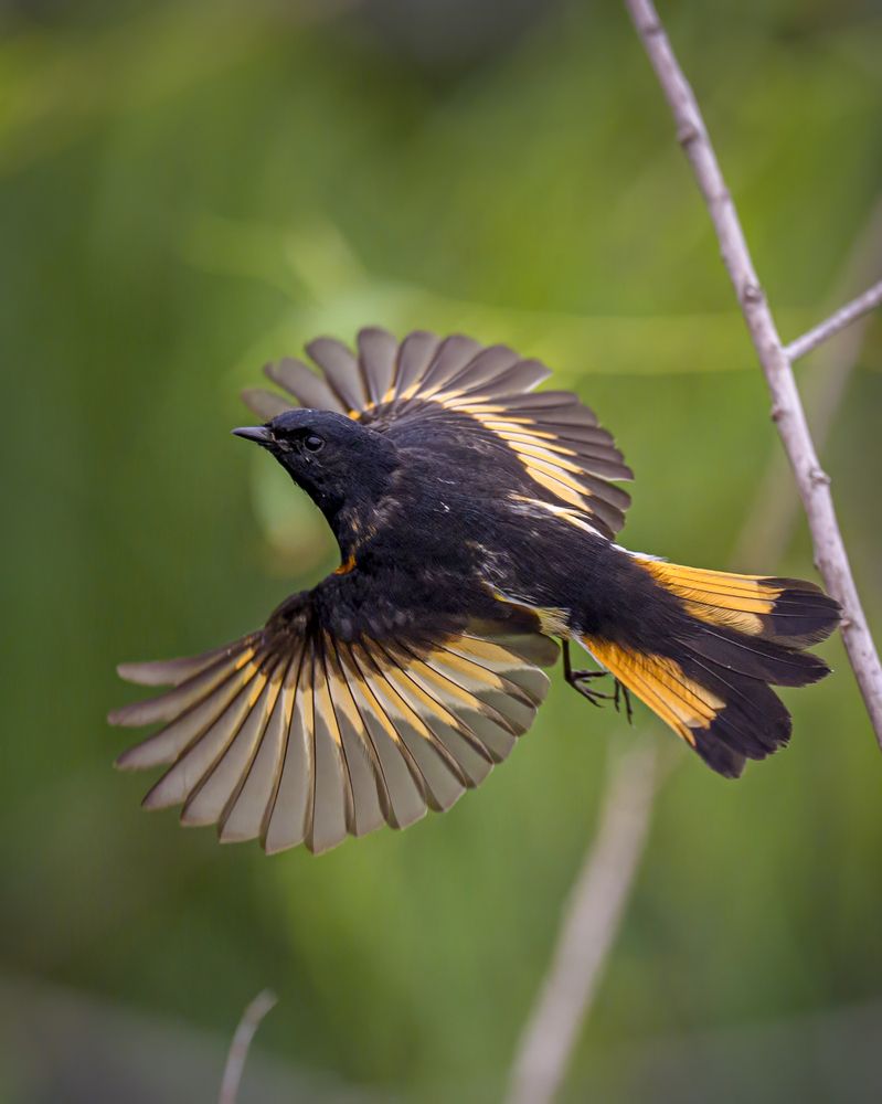 Photograph by Angie Birmingham