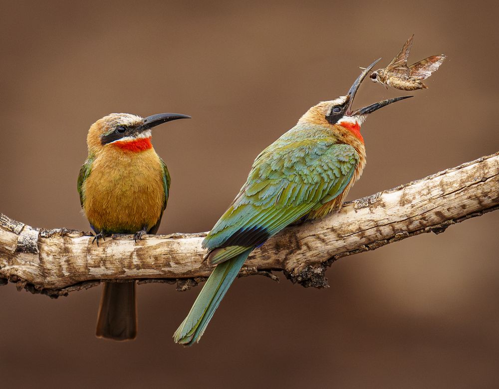 Photograph by Angie Birmingham