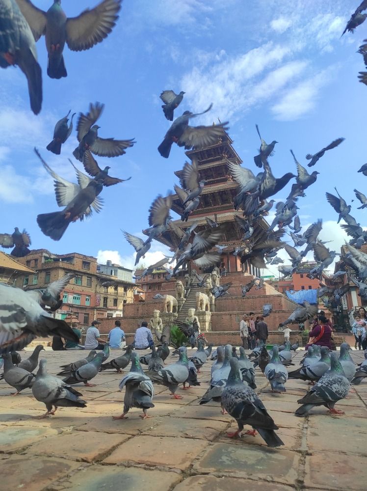 Photograph by Nishant Koju