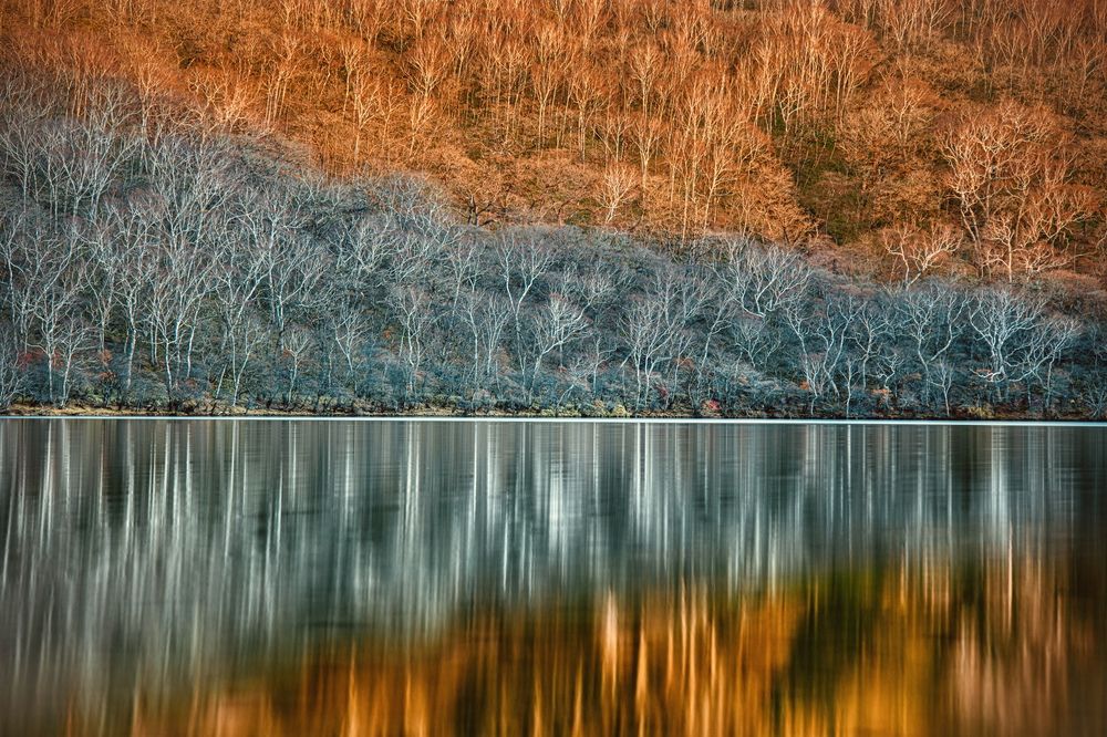 Photograph by イワモト レイナ