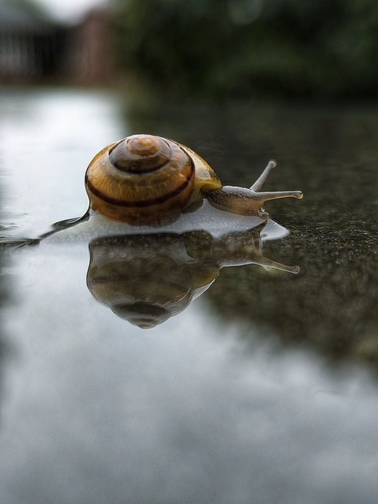 Photograph by Катрина Покумейко