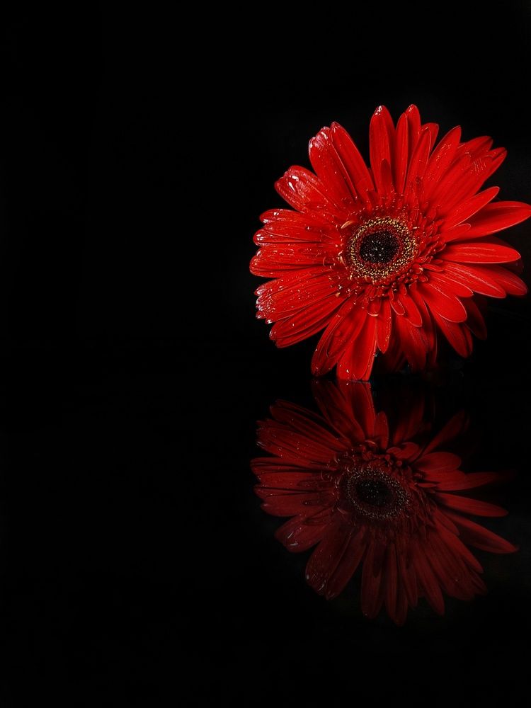 Photograph by Елена Буркина