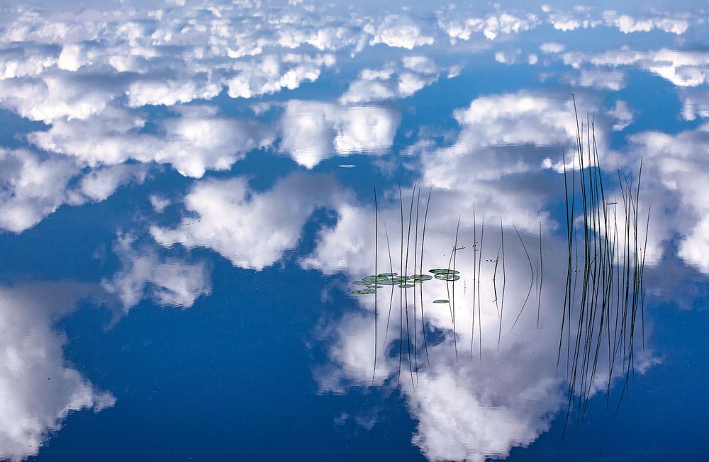 Photograph by Vladimir Ostapenko