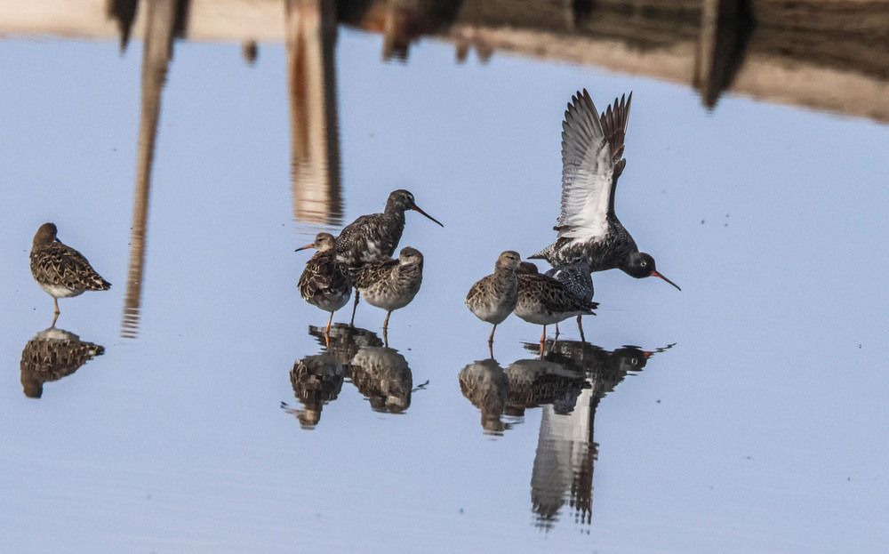 Photograph by Валентина Лопаткина