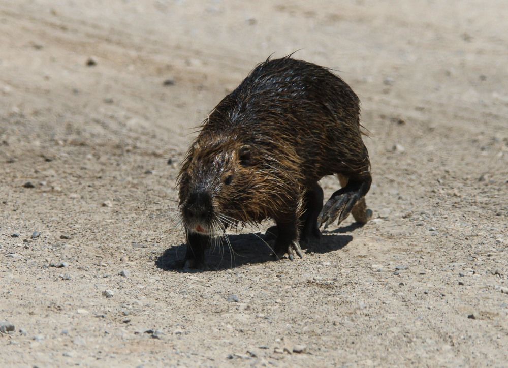 Photograph by Валентина Лопаткина
