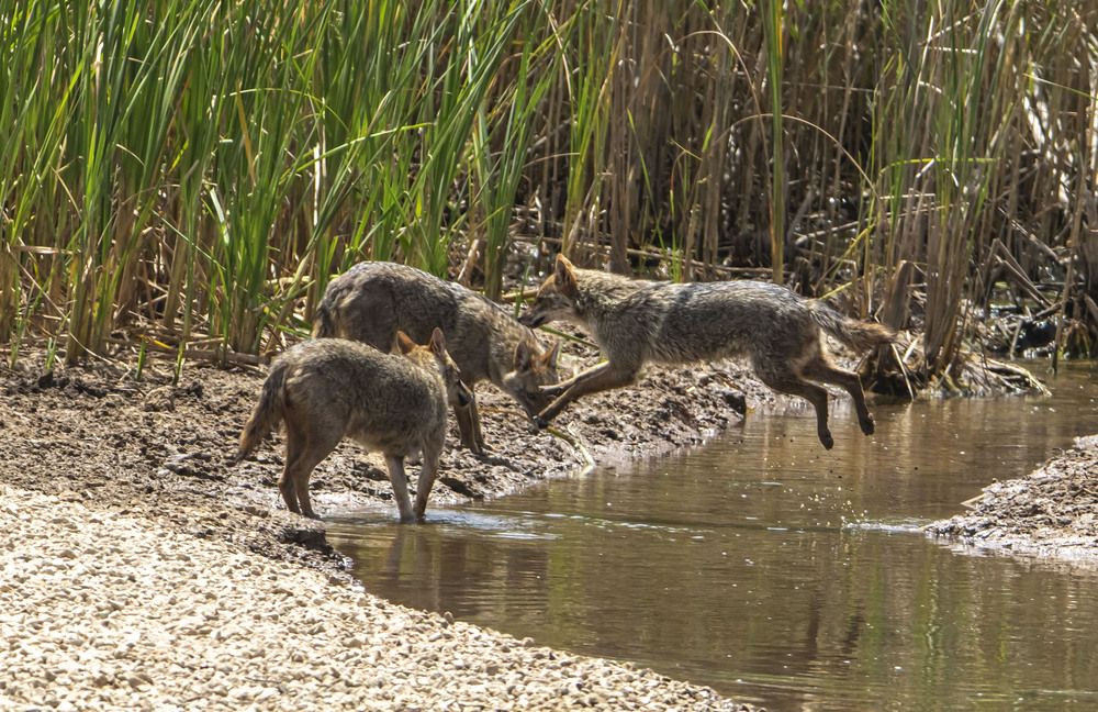 Photograph by Валентина Лопаткина