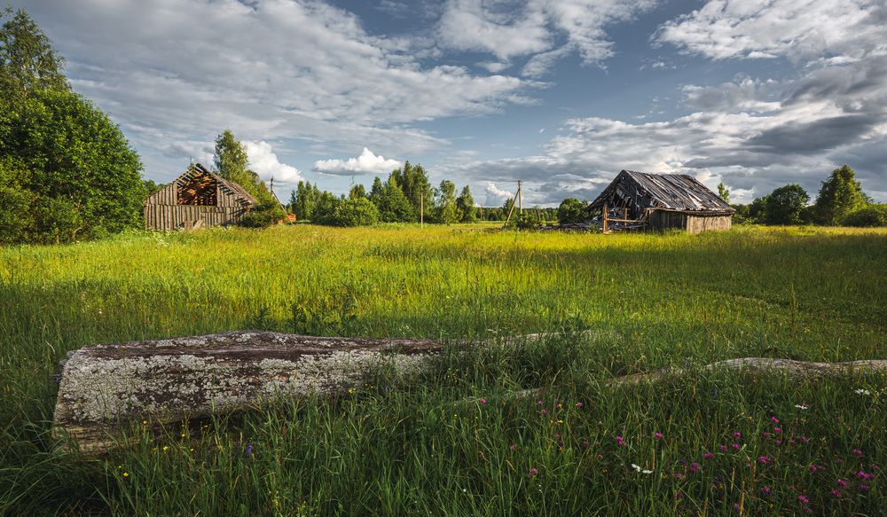 Photograph by Зеленько Дмитрий