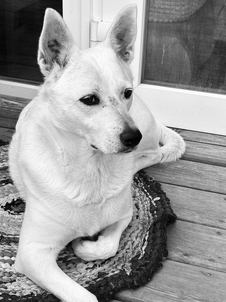 Photograph by Ольга Евтухова