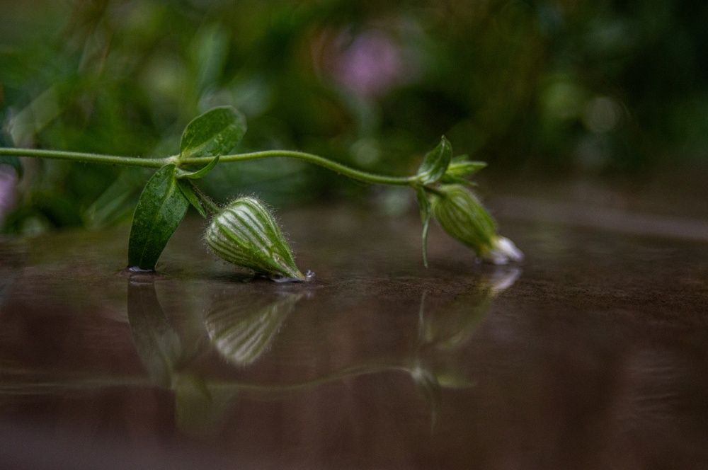 Photograph by Анастасия