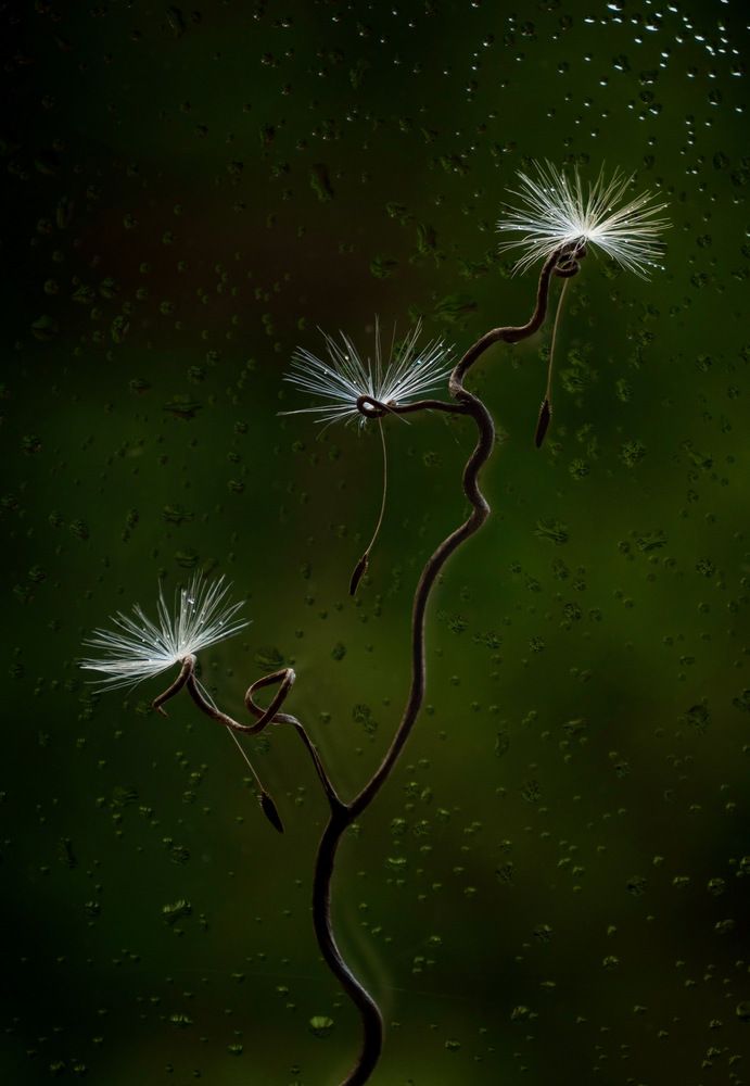 Dancing in the Rain