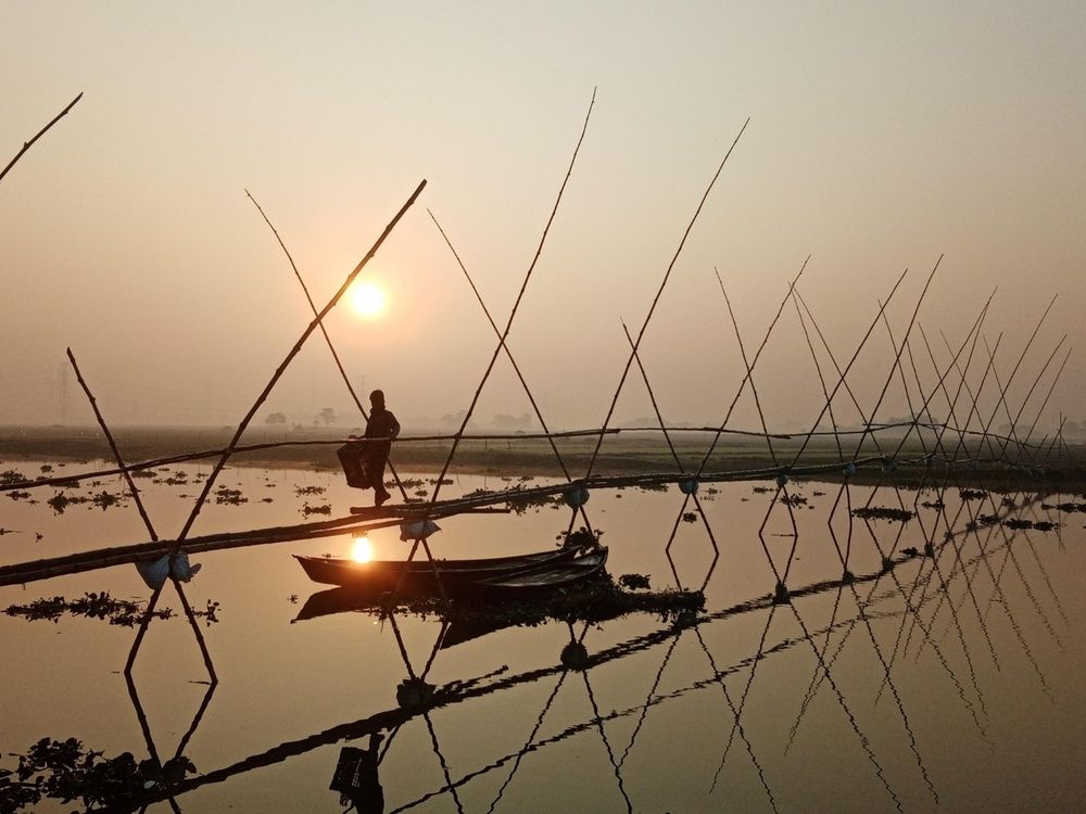 Photograph by Mohammed Rifatul Alam Siam