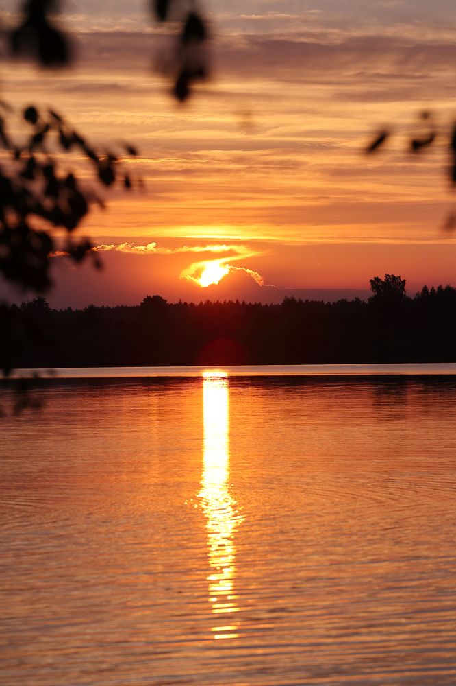 Photograph by Карина Онисенко