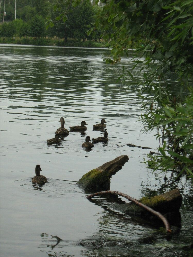 Photograph by Прикс Эльвина