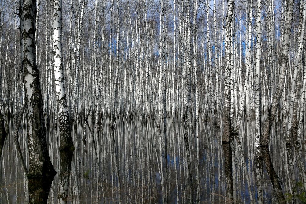 ВЕШНИЕ ВОДЫ