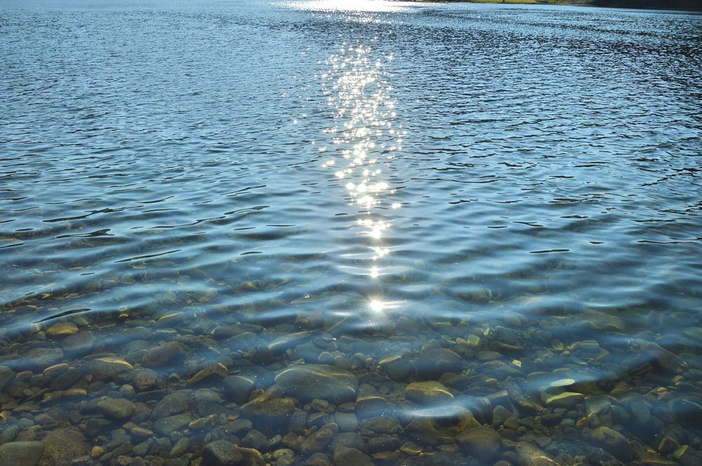 Photograph by Елена Савчук