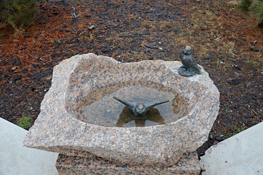 Photograph by Елена Савчук