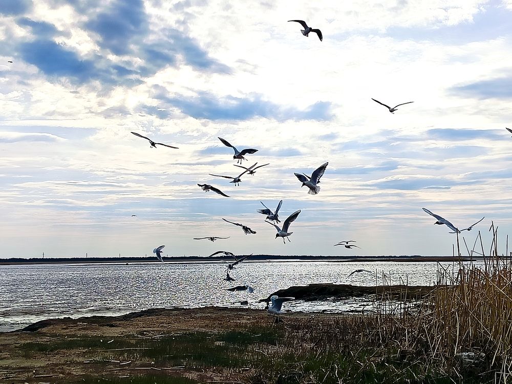 Photograph by Татьяна Бешенкина