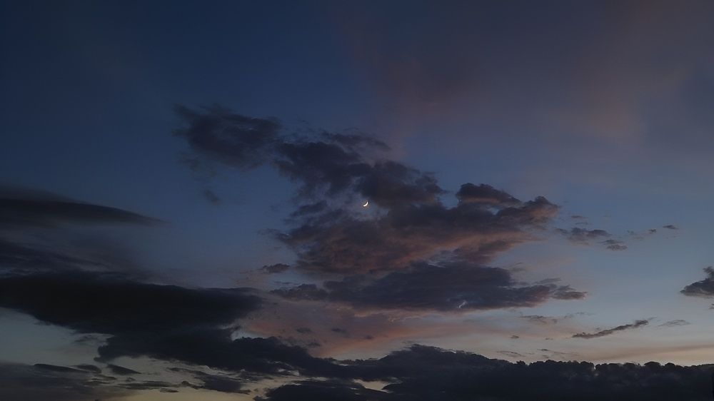 Photograph by Navya Modi