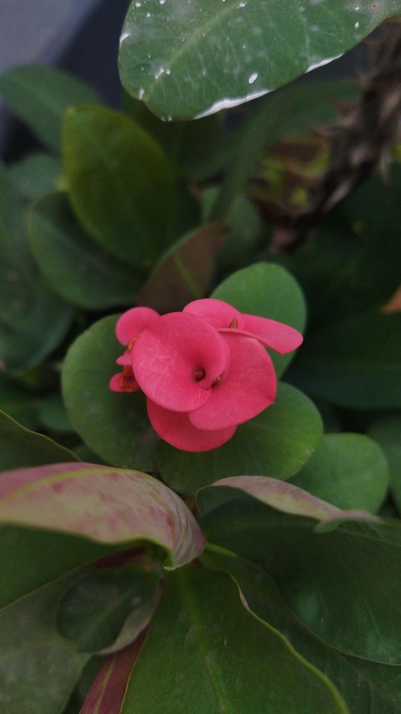 Photograph by Navya Modi