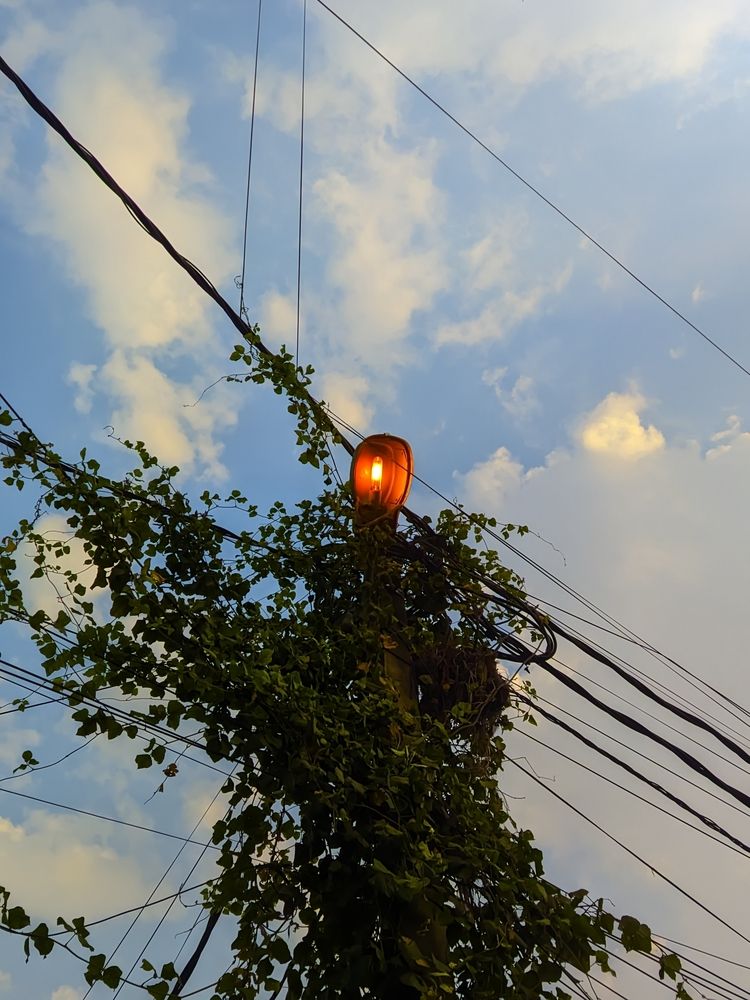 Photograph by Navya Modi