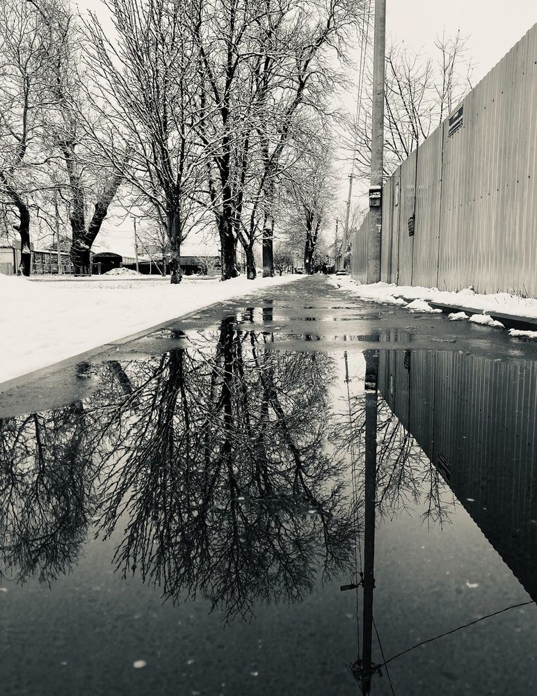 Photograph by Anzhelika Koksharova