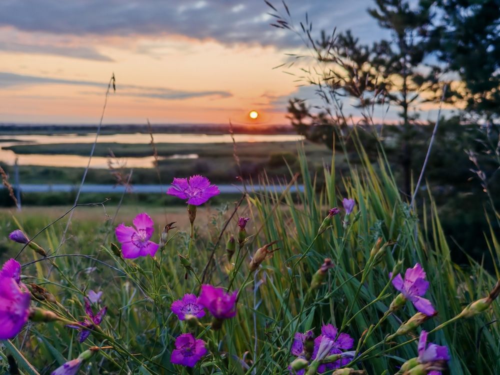 Photograph by Серёга Ануфриев