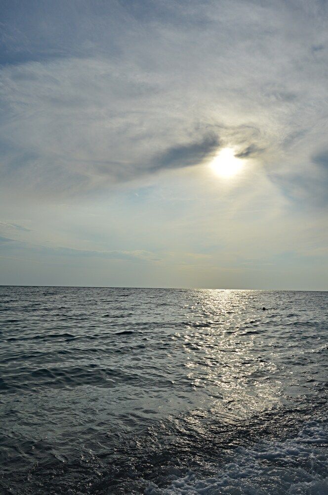 Photograph by Елена Савчук