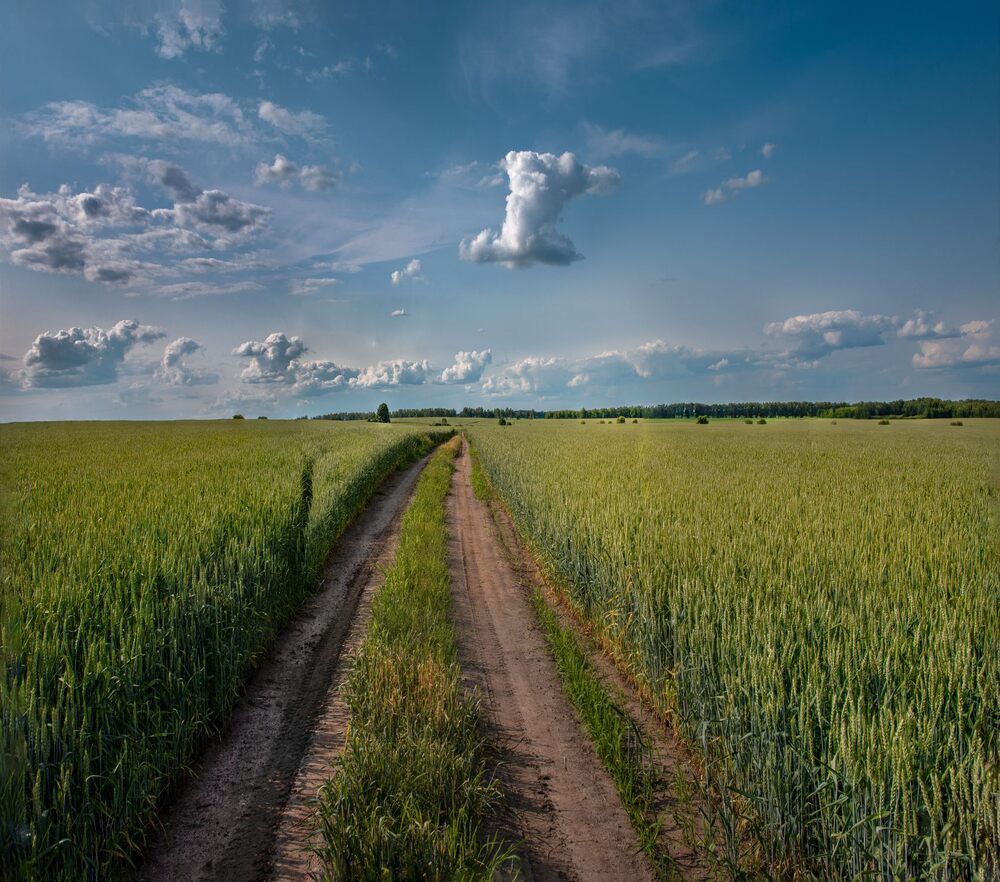 Фотография автора Sergey Smorchkov