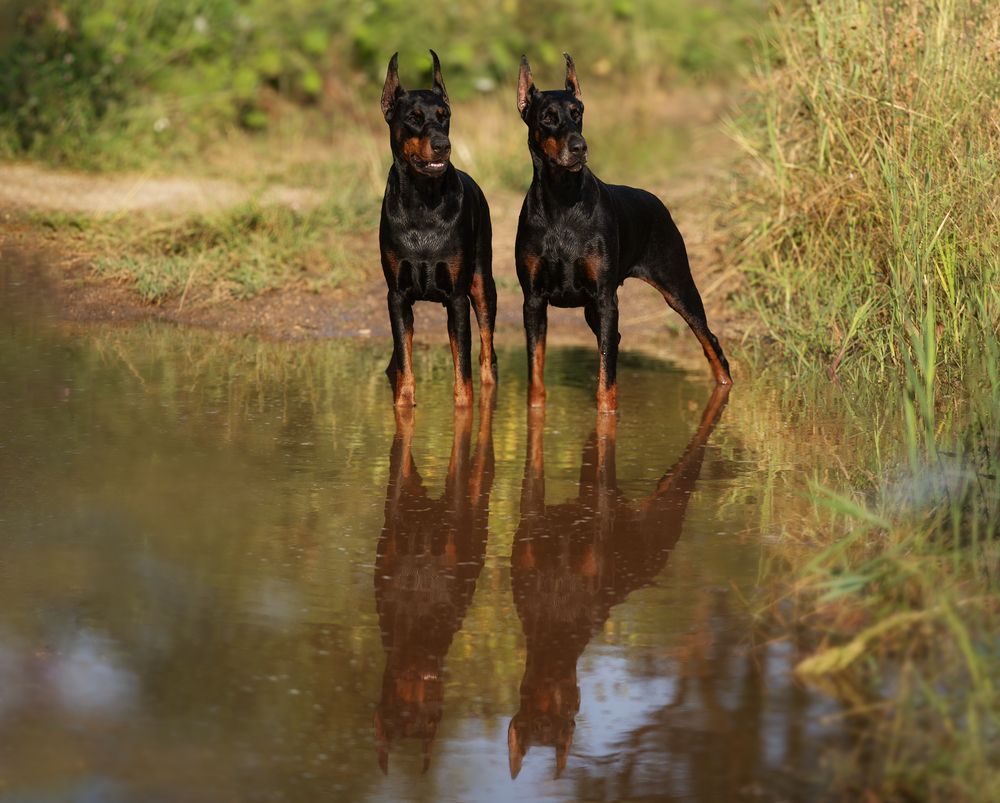 Photograph by Юлия Болдинова