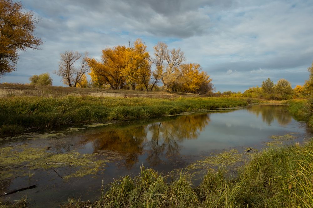 Photograph by Олег Дорошенко