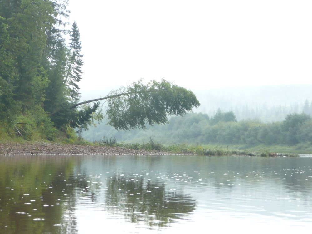 Photograph by Александр Бастраков