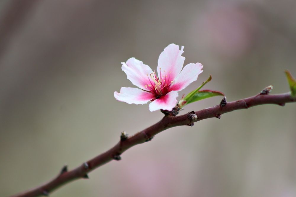 Photograph by Donka Vladimirova